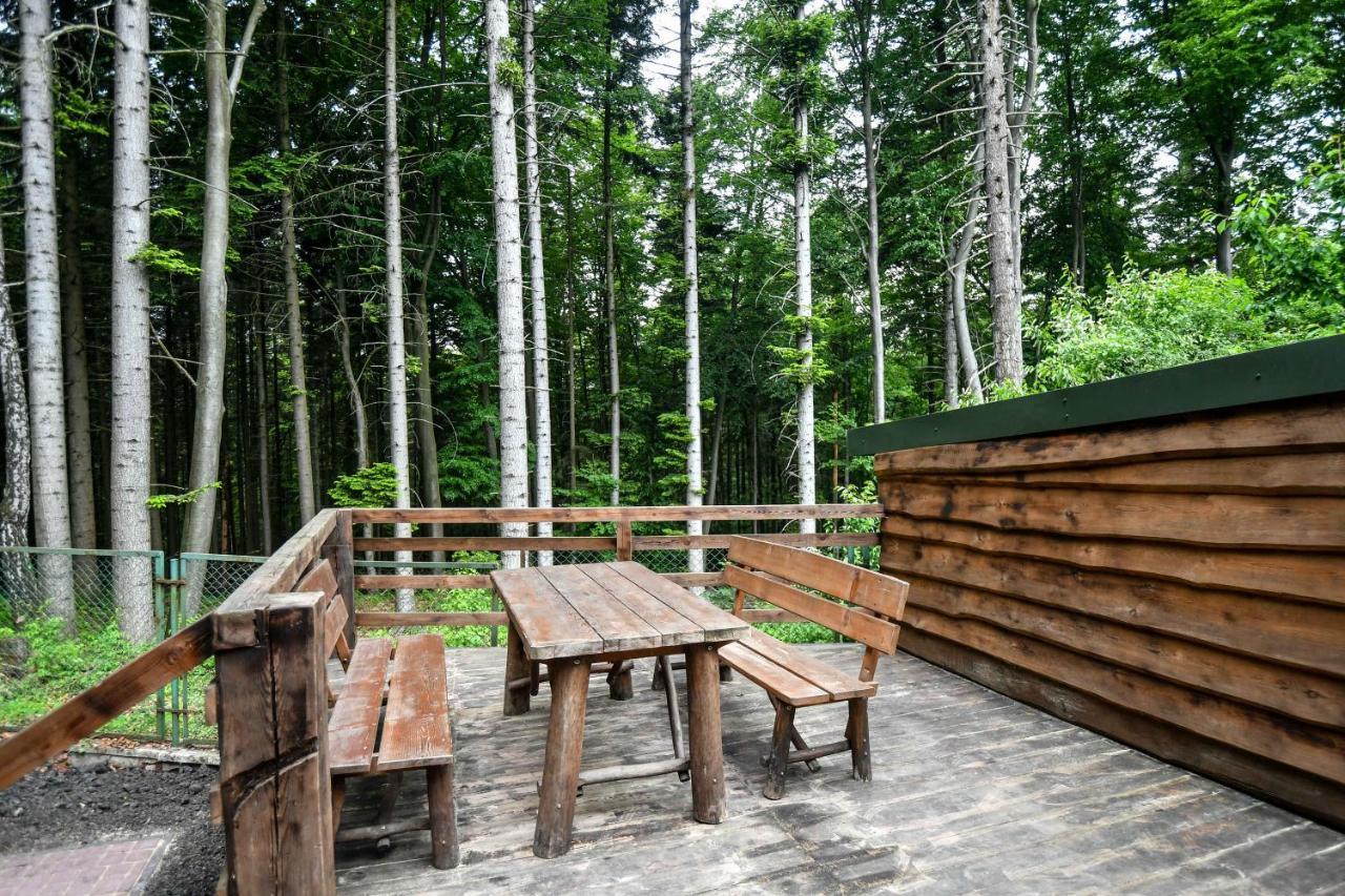 Lodge Osrodek Pszczolka *