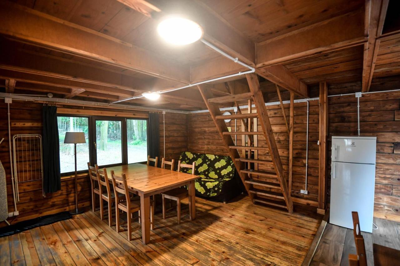 Lodge Osrodek Pszczolka *